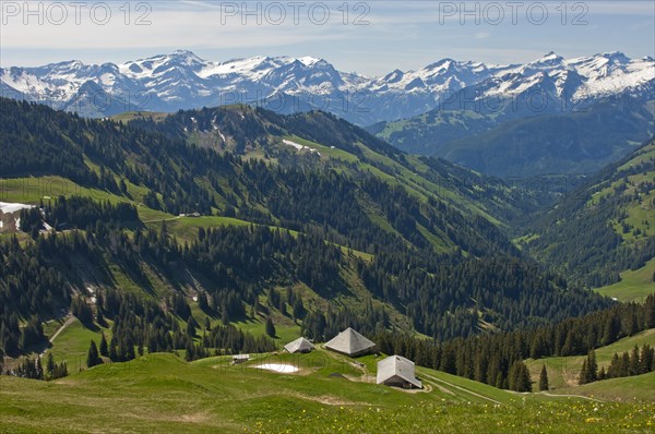 Pre-alpine landscape with alpine cabins