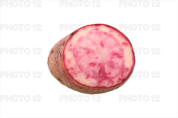 Potato