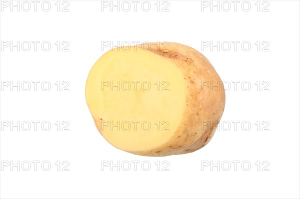 Potato
