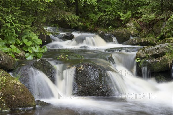 Kleine Ohe mountain stream