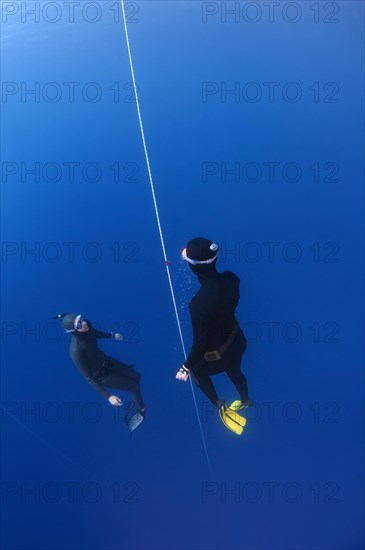 Freedivers