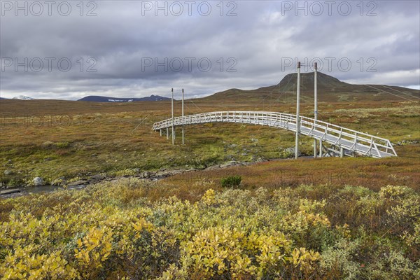 Suspension bridge