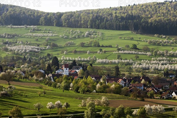Townscape