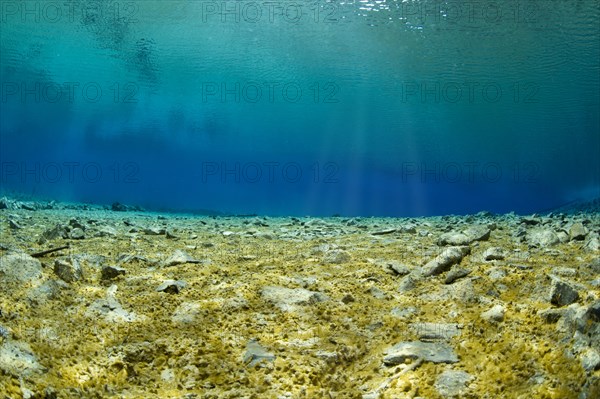 Underwater view