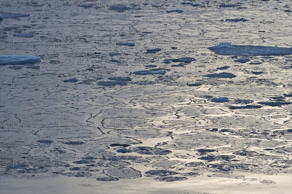 Pancake ice