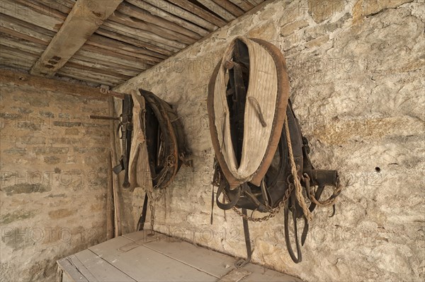 Horse collars