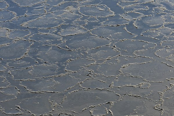 Pancake ice