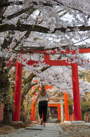 Yoshida shrine