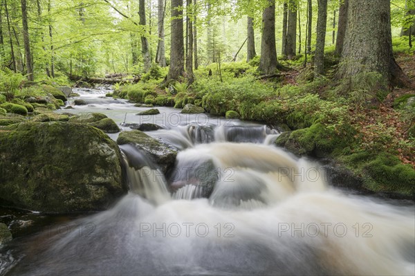 Kleine Ohe mountain stream