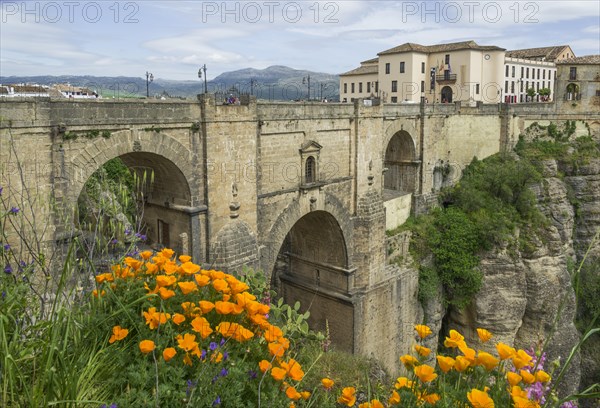 El Puente Nuevo bridge