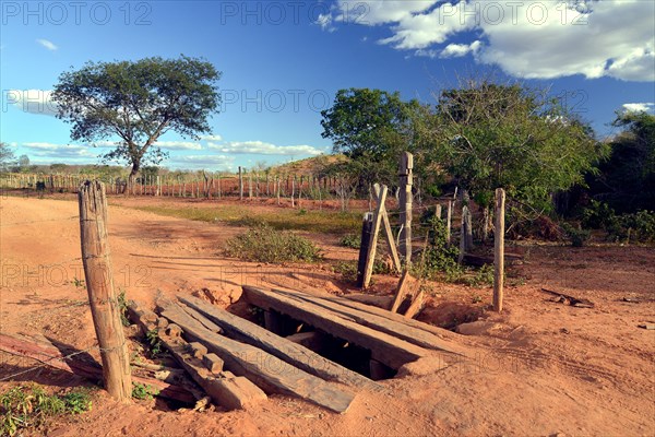 Primitive bridge of an earth road
