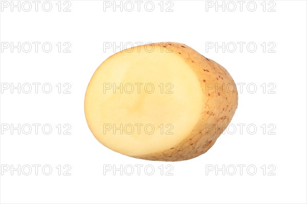 Potato