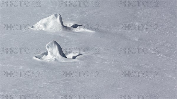 Snow sculptures