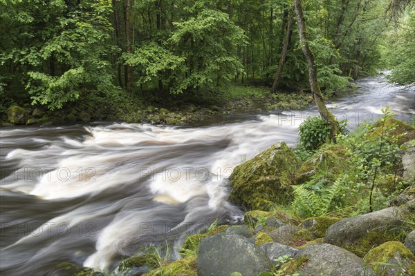 Buchberger Leite mountain stream gorve
