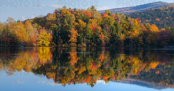 Autumnal trees with reflection in lake