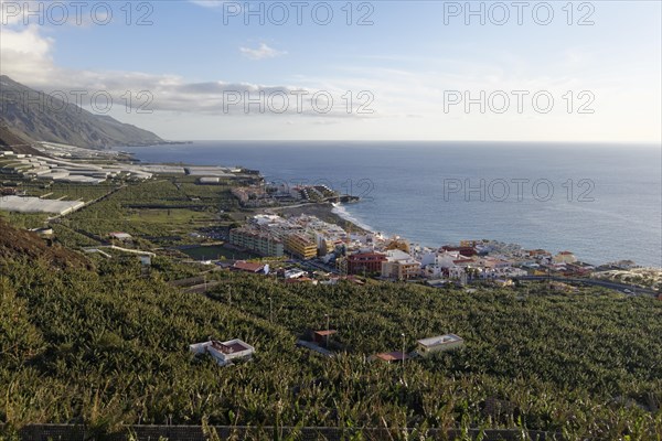 Puerto Naos and banana plantations