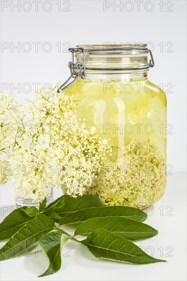 Preparation of elderflower liqueur