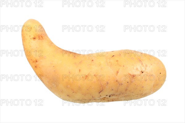 Potato