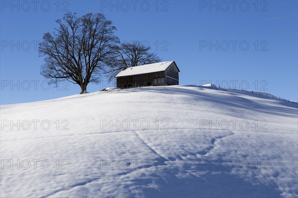 An Appenzell farmhouse on a snow-covered hill in winter