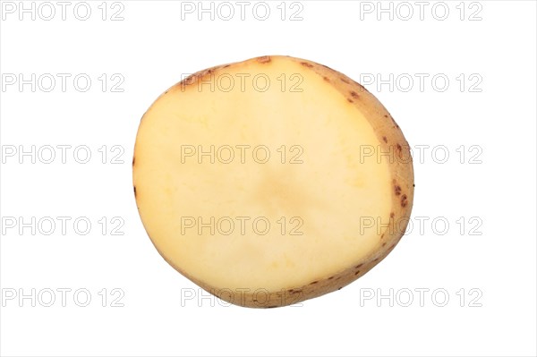 Potato