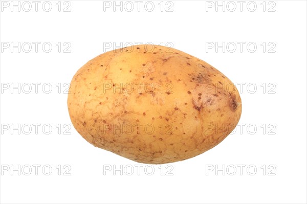 Potato