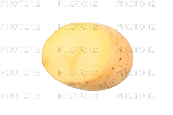 Potato