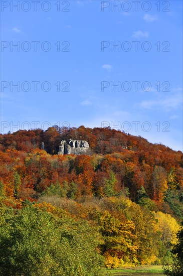 Autumn coloured trees on Mt Glatzenstein