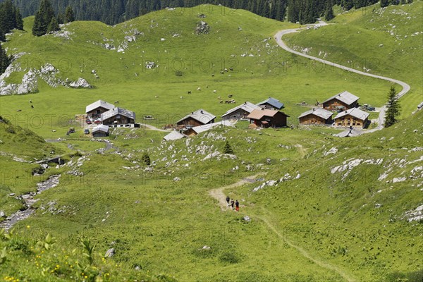 Laguz Alps
