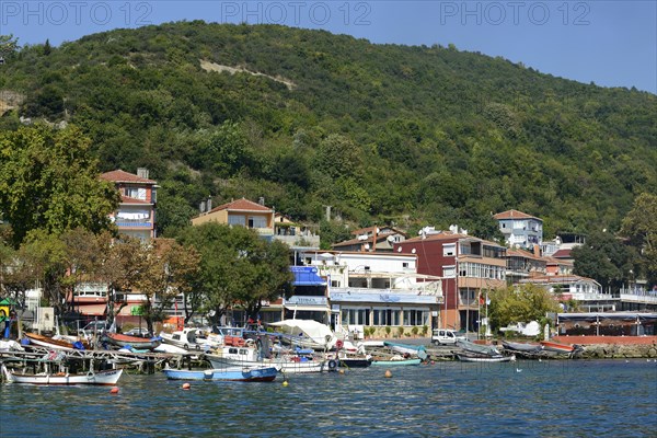 View of the village of Rumeli Kavagi from the Bosphorus