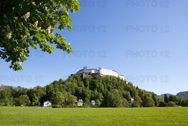 Hohensalzburg Castle