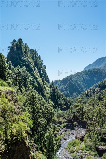 Ravine with creek in the Caldera de Taburiente National Park