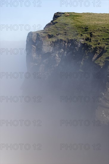 Clouds on the cliffs