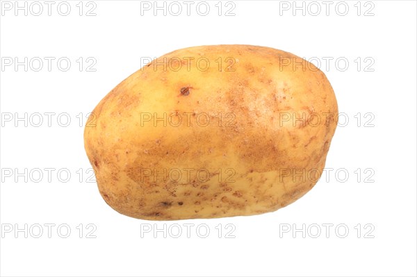 Potato
