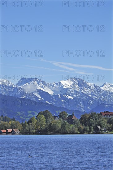 Snow-covered Oberstdorf Mountains behind Buhl am Alpsee with Alpsee lake