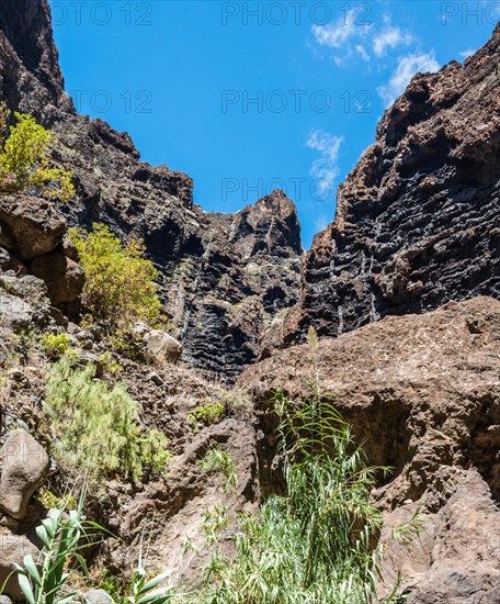 Cliff in the Masca Gorge