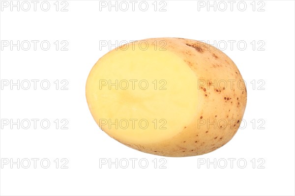 Potato
