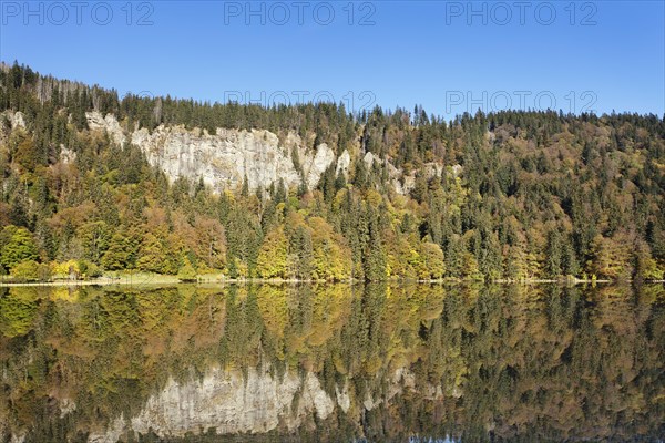Lake Feldsee and Feldberg mountain