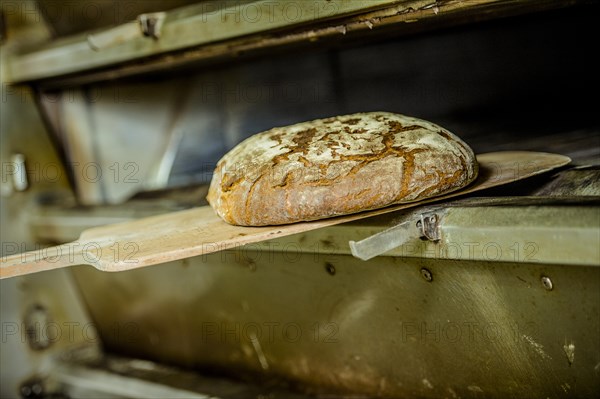 Bread
