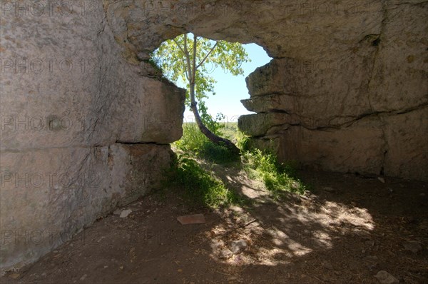 Cave