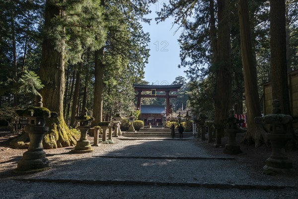 Great Torii Gate