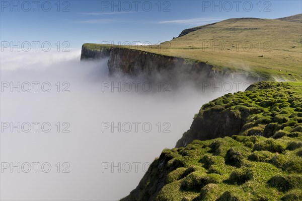 Clouds on the cliffs