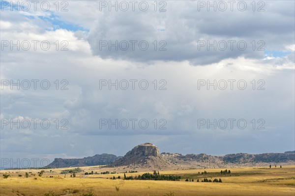 Width grass landscape
