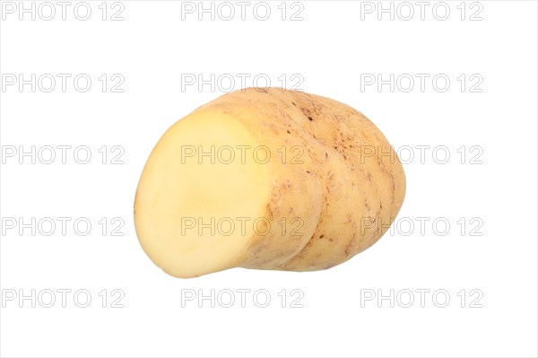 Potato