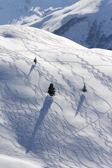 Ski tracks in deep snow