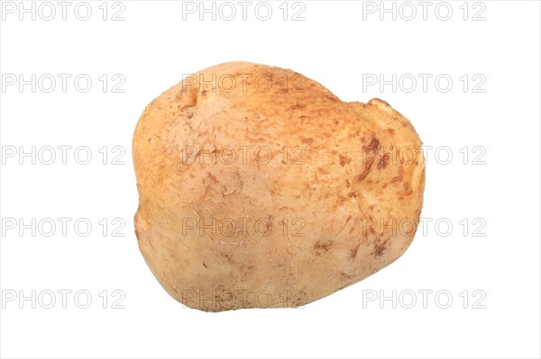 Potato