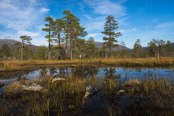 Lake