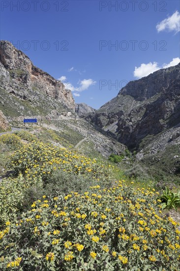 Kourtaliotiko gorge