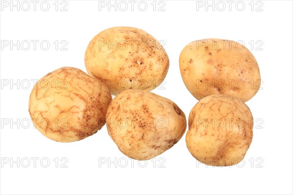 Potatoes