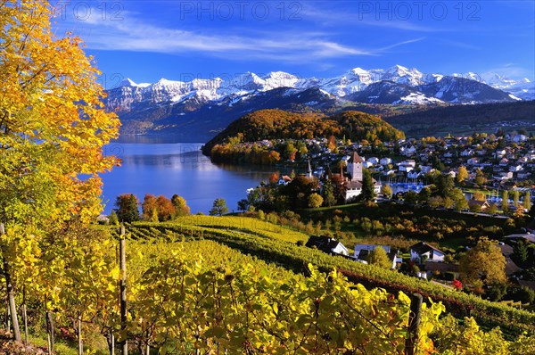 Townscape of Spiez on Lake Thun with the snow-covered Bernese Alps