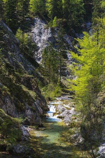Course of a stream